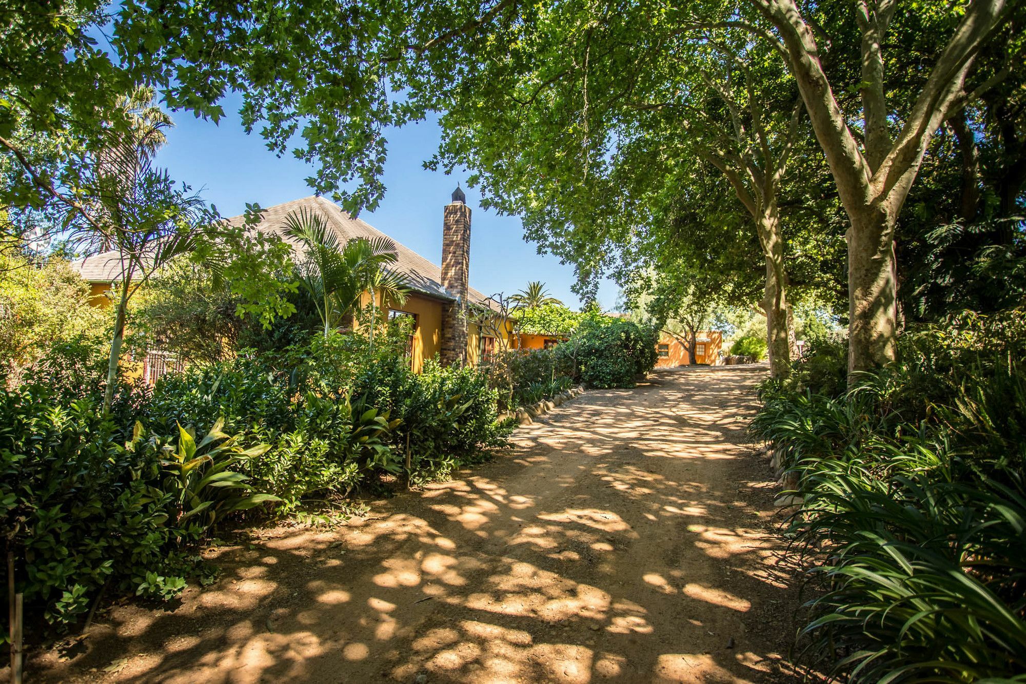 Dirtopia Trail Lodge ستيلينبوش المظهر الخارجي الصورة